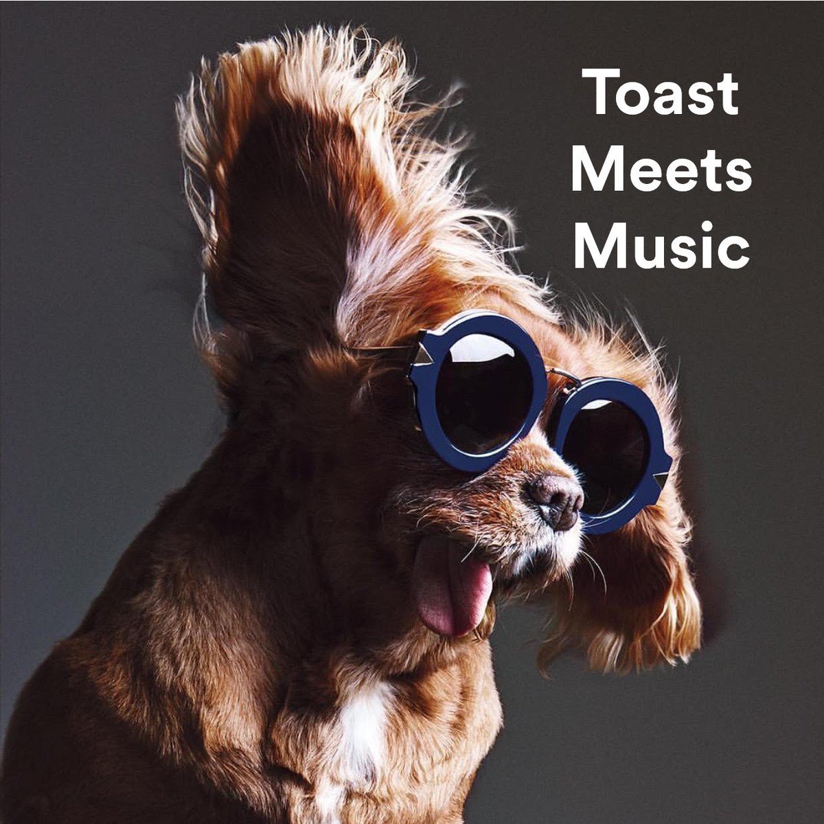 Spotify's tweet photo. 7. #ToastMeetsWorld - Toast Meets Music
https://t.co/ZBbNC3WUH7 https://t.co/heX0eFXDXC