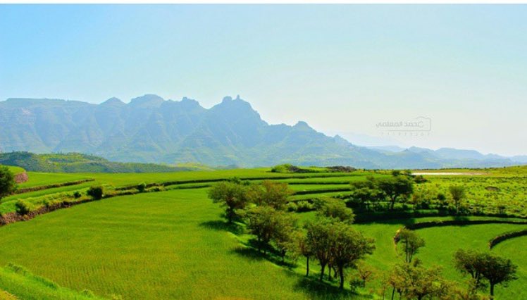 #هويه_اليمن
#قروب_بنات_اليمن
#قروب_صنعاء_اليمن
#بعدان_إبّ 🇾🇪❤️🇾🇪