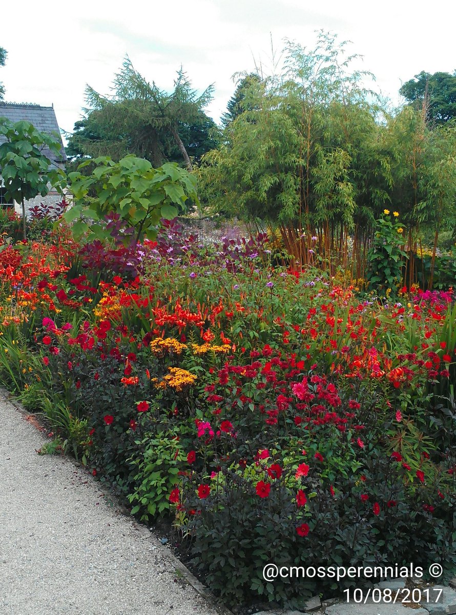 SmallholderIRL's tweet photo. Sometimes we go to fancy places. A few weeks ago we went to @JuneBlakesGarde n and @huntingbrook @SmallholderIRL https://t.co/Jsy2krsYME