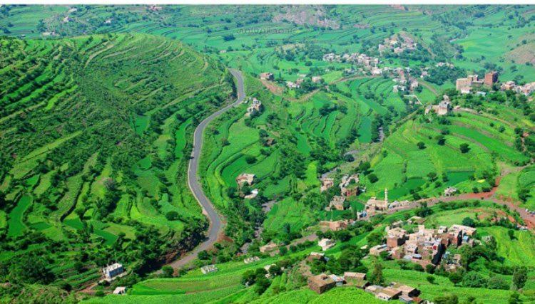 #هويه_اليمن
#قروب_بنات_اليمن
#قروب_صنعاء_اليمن
من جبال بعدان الأبيه
#إب 🇾🇪❤️