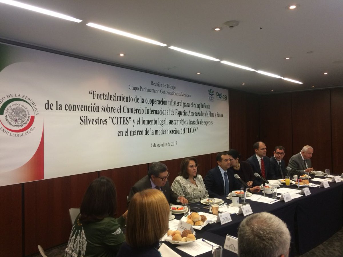 Silvia_GarzaG's tweet photo. Reunión de trabajo del Grupo Conservacionista Mexicano y Fundación Internacional del Caucus Conservacionista en @senadomexicano. @PoleaAC https://t.co/Q8i0dw5Oq8