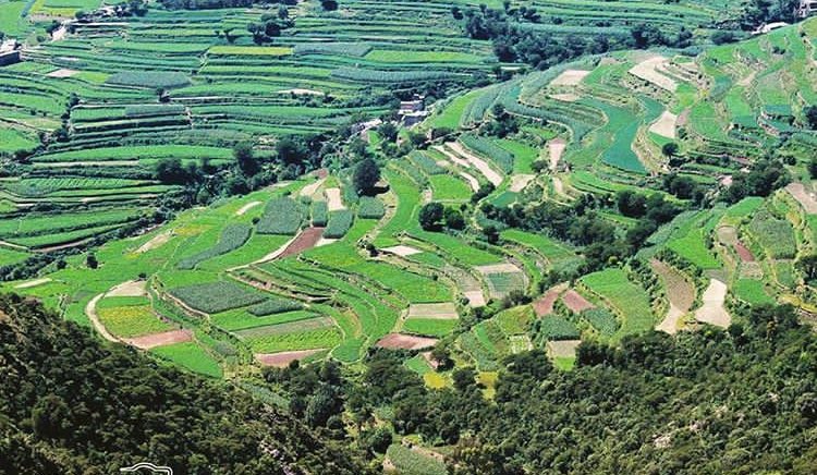 #هويه_اليمن
#قروب_بنات_اليمن
#قروب_صنعاء_اليمن
إنها مدينة الجمال يا ساده #إبّ_اليمن 🇾🇪❤️🇾🇪