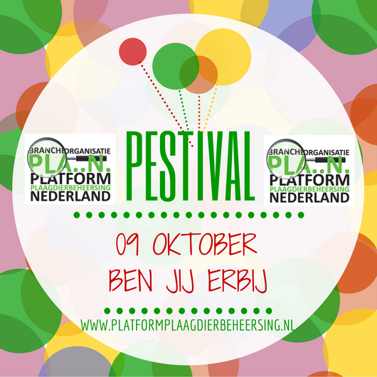 Platform Plan (@platformplan) on Twitter photo 