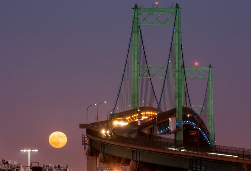 earthskyscience's tweet photo. N. Hemisphere's Harvest Moon is Oct 5 https://t.co/XlBq0rTJGI
Is it really bigger, oranger … more magical? 

Photo: Jarred Donkersley https://t.co/MNHcUwBlRp