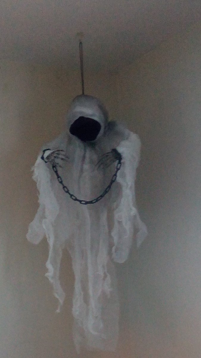 ArtbyAmandaKate's tweet photo. Hump day blog is up! #Timwraithy says to go and read it! https://t.co/7gwBXWZs2n

#humpdayblog #artyartnews #shenanigans #artbyamandakate https://t.co/K8doadOKEX
