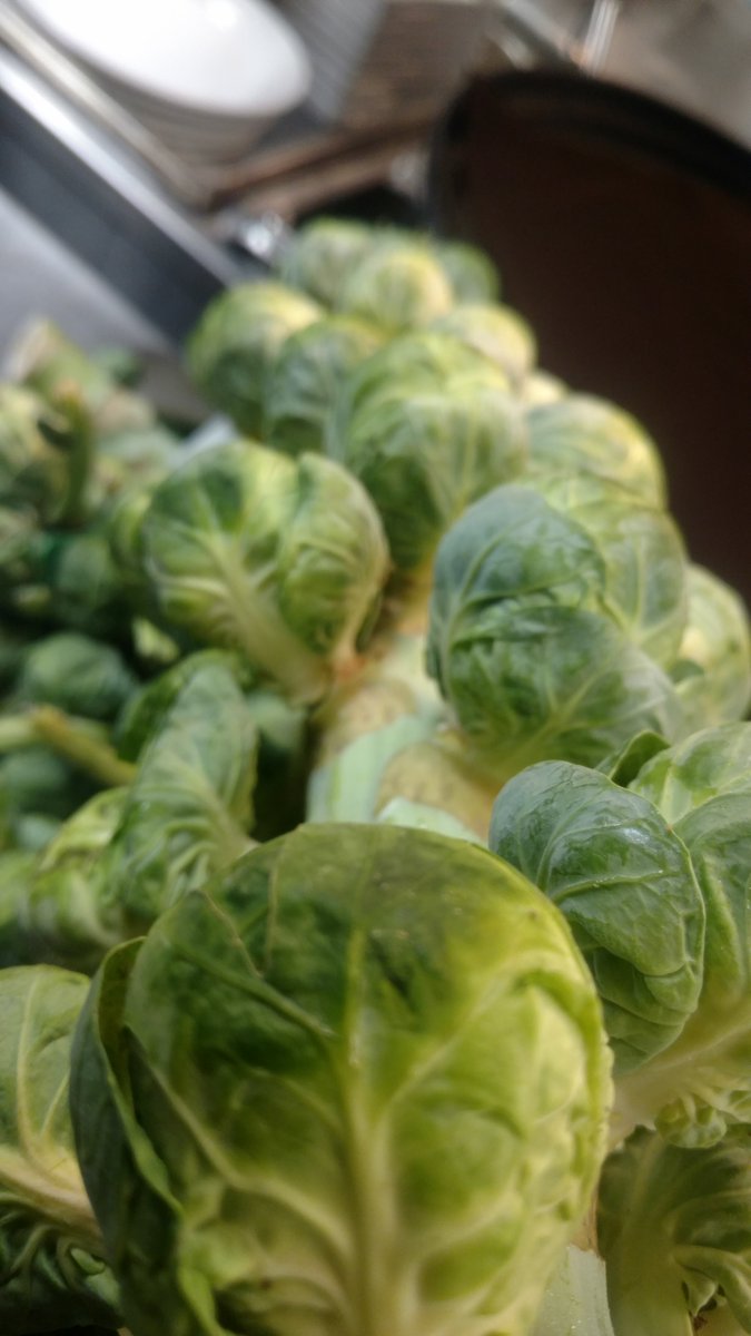 blendonmain's tweet photo. Brussel sprout heaven!
#blendonmain https://t.co/9Q9yIj7pyl