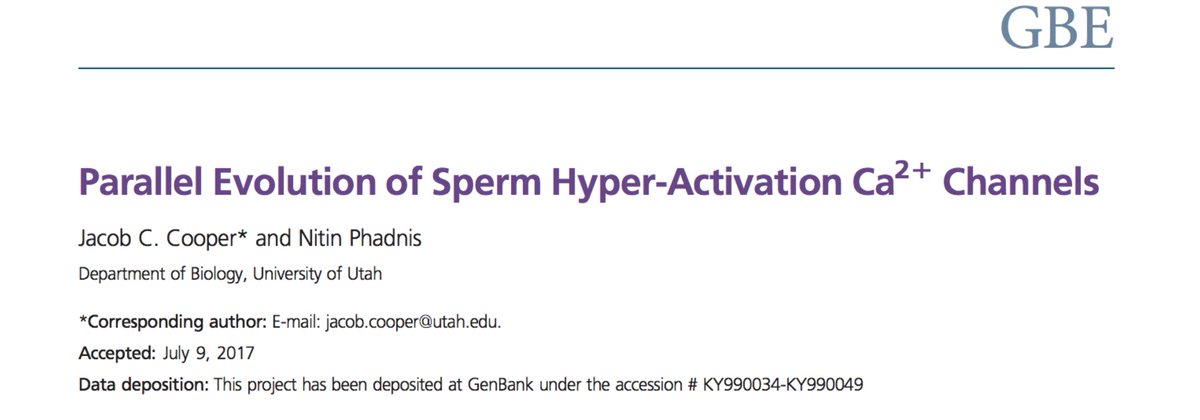 MatthewDeanLab's tweet photo. Inspired to read this paper by the great Catsper evolution talks this year at BoS #sperm2017. Very interesting read! #sperm #evolution https://t.co/wsFLDxT0zO