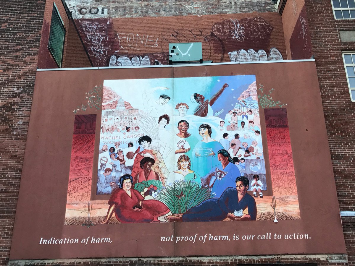 GREENLINK_IB's tweet photo. "Indication of harm, not proof of harm, is our call to action" #diversity #inclusion https://t.co/vI6ophLW1j