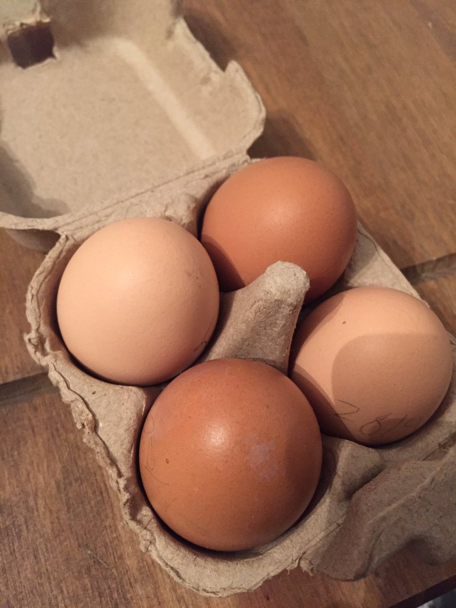 nicola randall tweet media