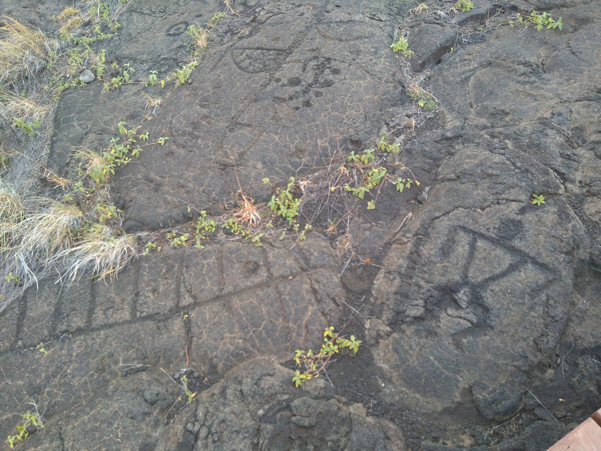 ICelarain's tweet photo. Petroglifos en Big Island (Hawaii) en volcán Kilauea en la zona más cercana al mar
@FATAPUERCA https://t.co/BDLURKkhsU