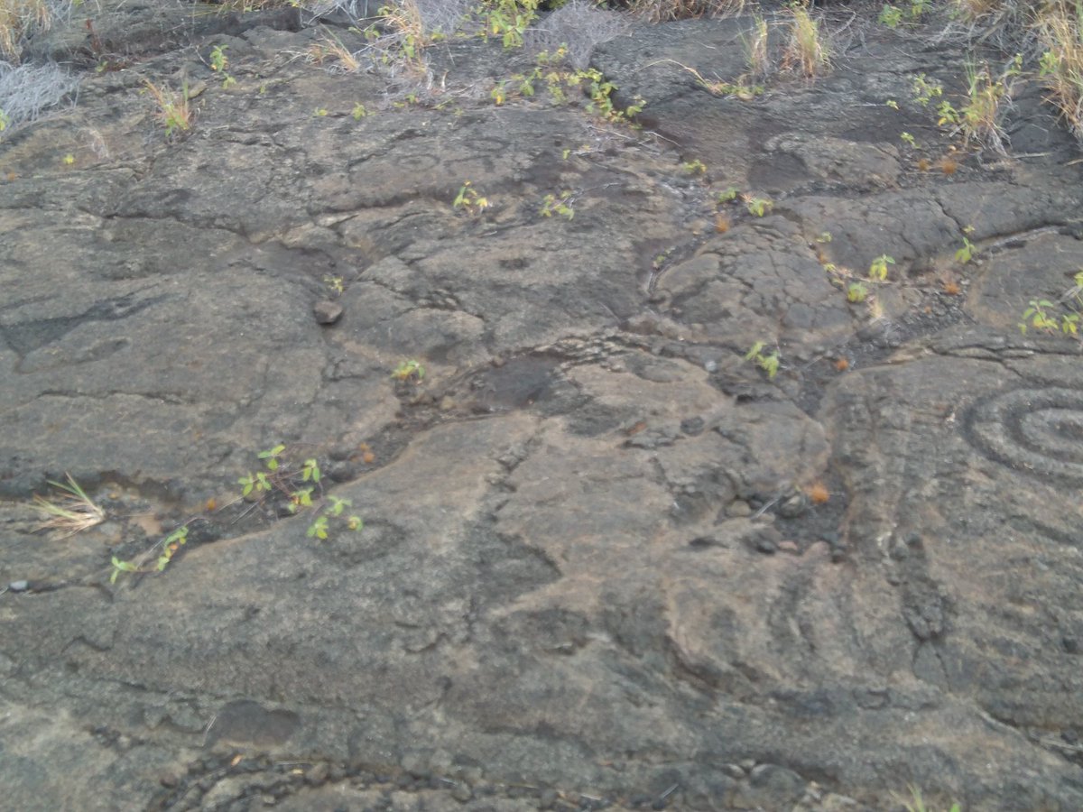 ICelarain's tweet photo. Petroglifos en Big Island (Hawaii) en volcán Kilauea en la zona más cercana al mar
@FATAPUERCA https://t.co/BDLURKkhsU