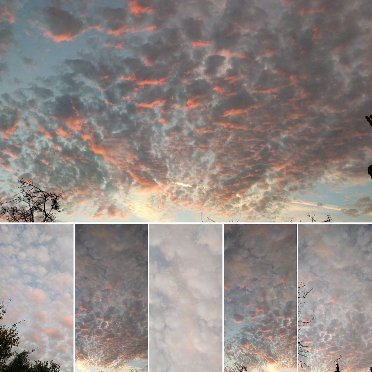 Louisa_Crispin's tweet image. Fascinating sky tonight
.
#nofilter #puffclouds #cottonwool #sunset