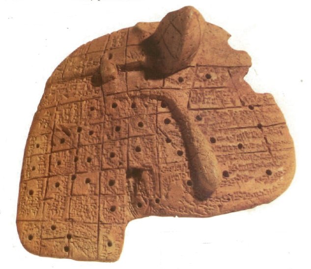 The earliest known anatomical model, shown here, is a clay model of a sheep's liver showing its different regions, made around 2000 BCE