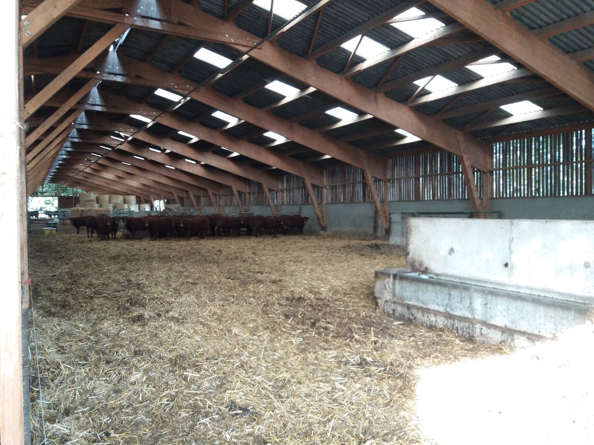 William Conlon (@williamconlon) on Twitter photo Touring France with the Irish Farm Buildings Association this week, visited a Saler farm with a €300,000 shed, great set up <a href="/farmersjournal/">Irish Farmers Journal</a> Touring France with the Irish Farm Buildings Association this week, visited a Saler farm with a €300,000 shed, great set up <a href="/farmersjournal/">Irish Farmers Journal</a>