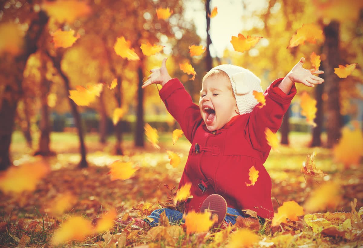 We can't contain our excitement for this beautiful fall weather! What will you do outdoors today? #GetOutsideAZ