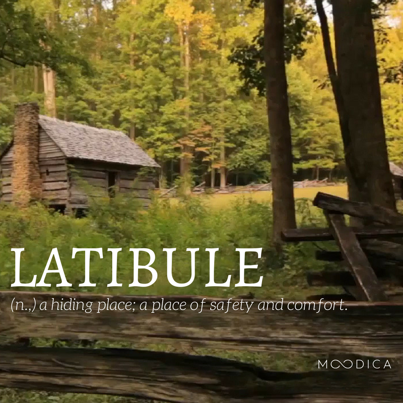 moodica's tweet photo. "Latibule: (n.) a hiding place; a place of safety and comfort." #WednesdayWisdom #WordOfTheDay https://t.co/U659VQ12BE