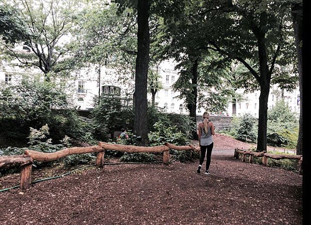 StevensBlonde's tweet photo. Afternoon stroll 📷: @watermelongirlC https://t.co/3Yy9owH8t8