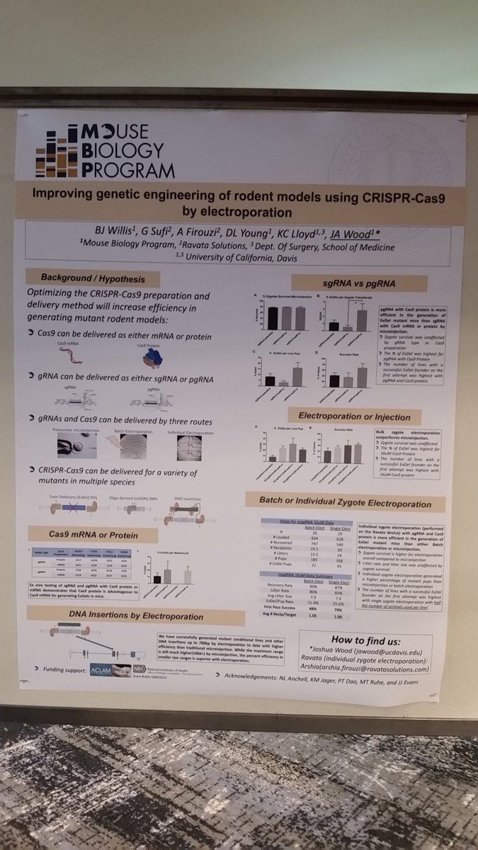 UCDMouseBio's tweet photo. Poster session on Improving genetic engineering of rodent models using CRISPR-Cas9 by electroporation complete.  #precisionmedicine #animalmodels #ISTT2017 https://t.co/p6cpXb0bZg