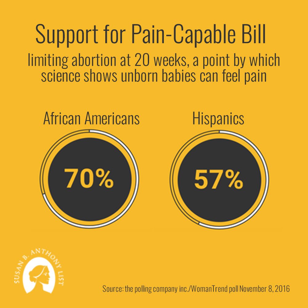 sbaprolife's tweet photo. The numbers are in. Most Americans want to ban late-term abortions when babies can feel pain. https://t.co/5yJoGgxnsy #TheyFeelPain 📊 https://t.co/qidJIJArST