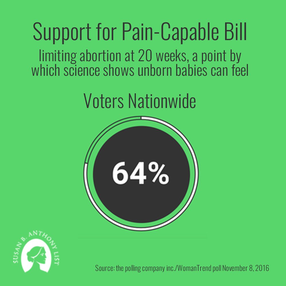 sbaprolife's tweet photo. The numbers are in. Most Americans want to ban late-term abortions when babies can feel pain. https://t.co/5yJoGgxnsy #TheyFeelPain 📊 https://t.co/qidJIJArST