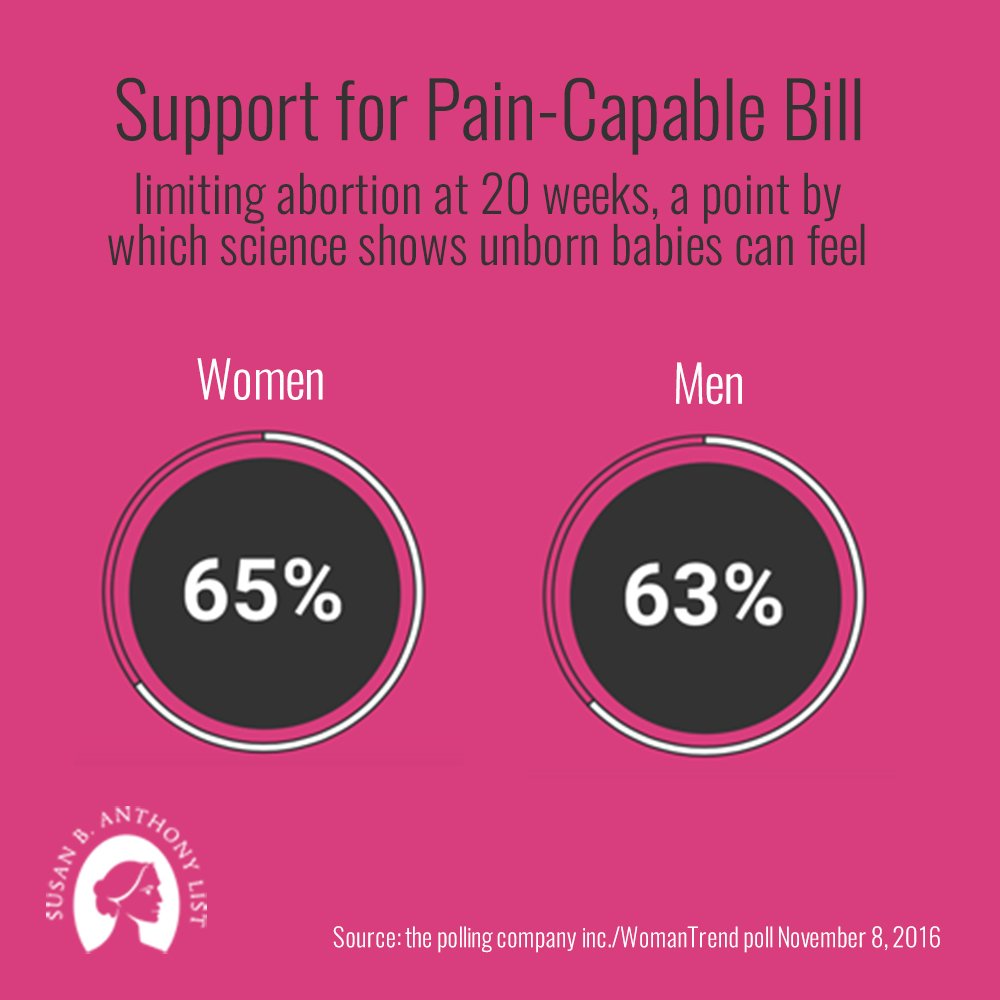 sbaprolife's tweet photo. The numbers are in. Most Americans want to ban late-term abortions when babies can feel pain. https://t.co/5yJoGgxnsy #TheyFeelPain 📊 https://t.co/qidJIJArST