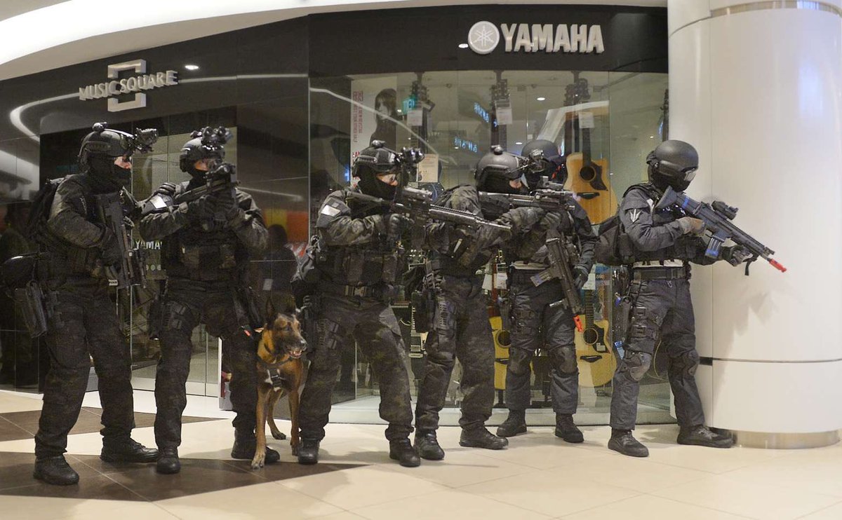 入手極難　シンガポール軍特殊部隊迷彩戦闘服 入手極難 シンガポール軍特殊部隊迷彩戦闘服