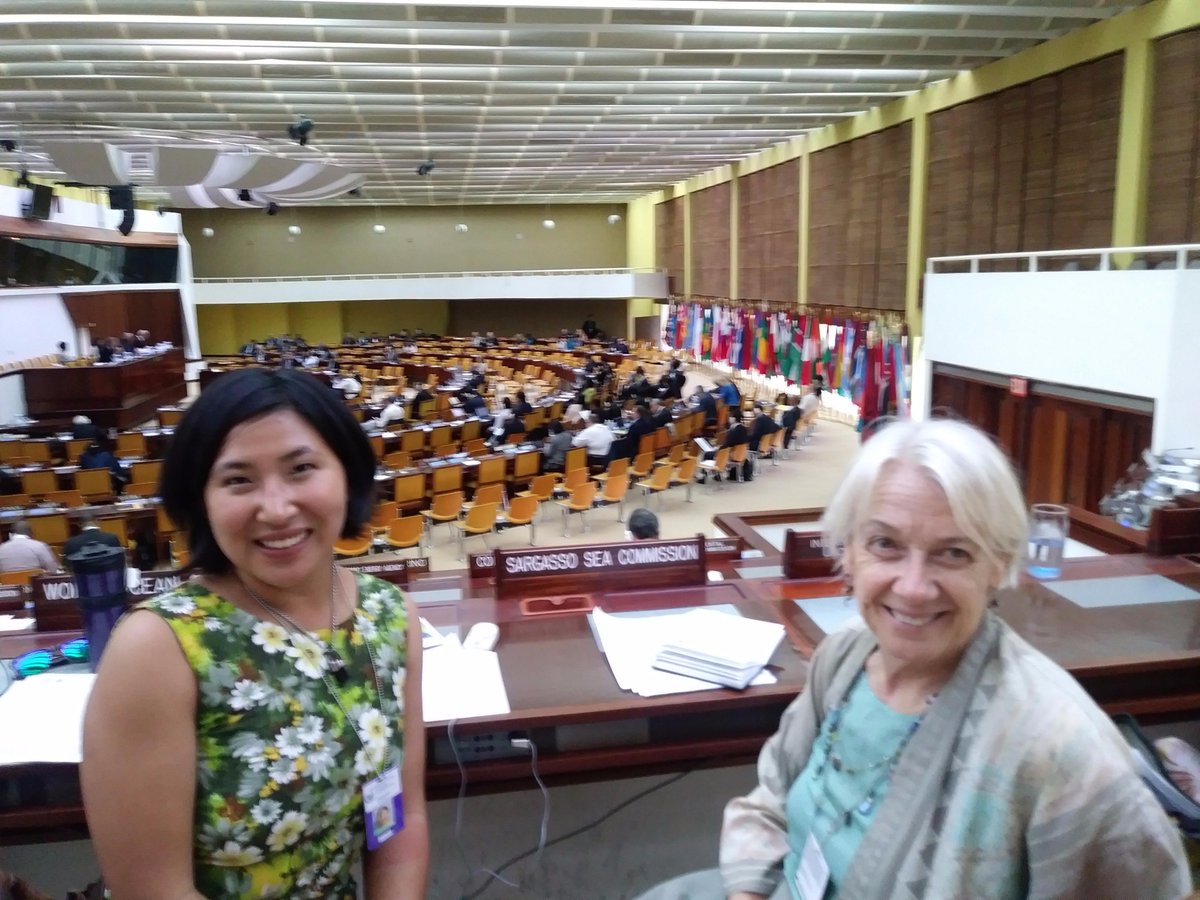SargassoSeaCmsn's tweet photo. Read more about side events at @UN #PrepCom4, @BonnConvention #CMSCOP12, @ISBAHQ, & #ICCAT in our latest newsletter https://t.co/CNyoBmjIRm https://t.co/eahpaZFtB7