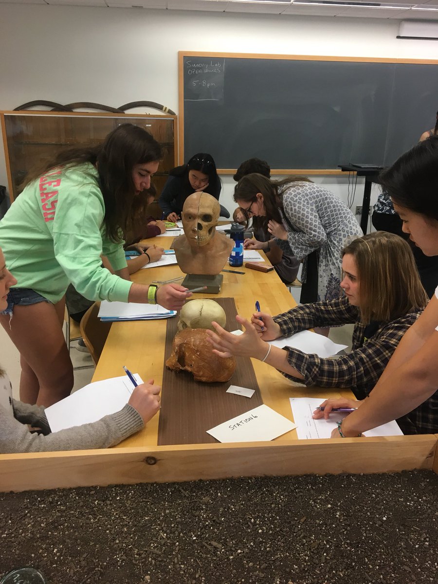 cpquinn2's tweet photo. Human evolution lab in #ARCH106 this week! #Anthropology #Archaeology #handson #hamiltoncollege https://t.co/0yw8rt6LdH