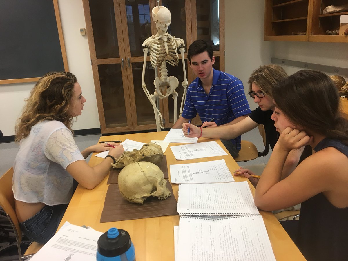 cpquinn2's tweet photo. Human evolution lab in #ARCH106 this week! #Anthropology #Archaeology #handson #hamiltoncollege https://t.co/0yw8rt6LdH
