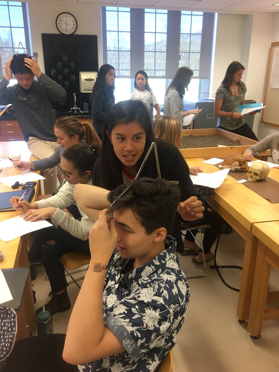 cpquinn2's tweet photo. Human evolution lab in #ARCH106 this week! #Anthropology #Archaeology #handson #hamiltoncollege https://t.co/0yw8rt6LdH
