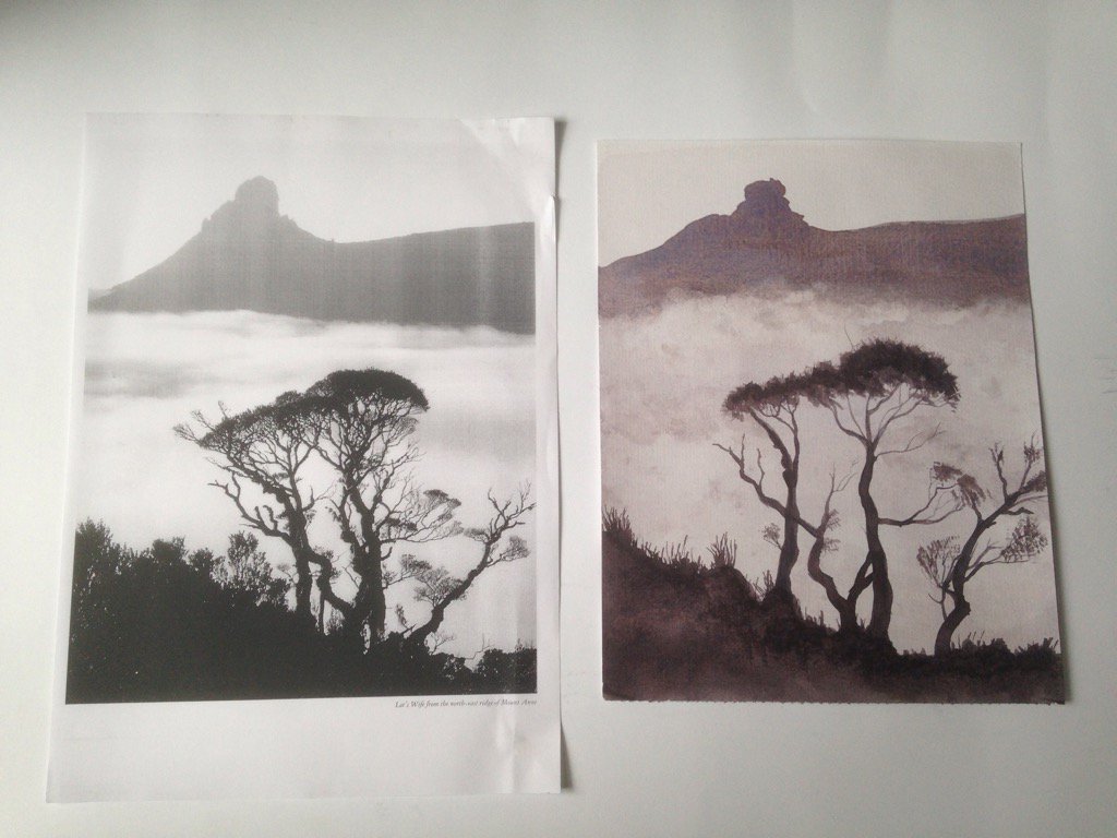08Beverley's tweet photo. First attempt at watercolour....the only way is up! https://t.co/SSv32SfdVy
