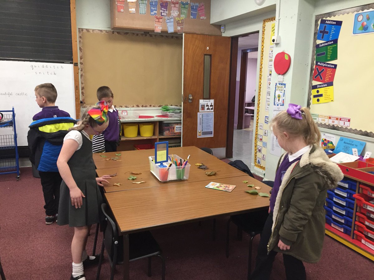 MrsSwanBX's tweet photo. We compared the leaves that we found on our leaf hunt 🌿🍃🌱 We talked about colours, shapes and sizes #partsofplants https://t.co/sl2dPzeBx3
