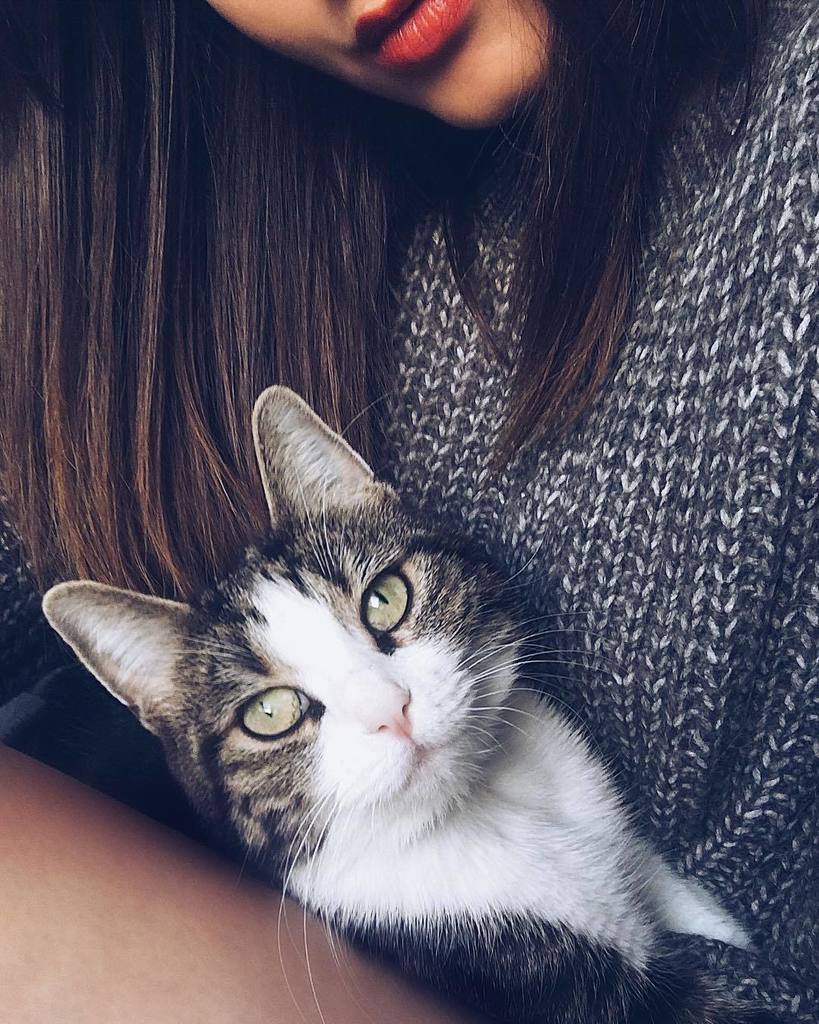 callmebabyOona's tweet photo. 🐱💋 #journeemondialedesanimaux #catsofinstagram #instacat #lolababy https://t.co/am13ziHKFI https://t.co/5SP4BdcPHf