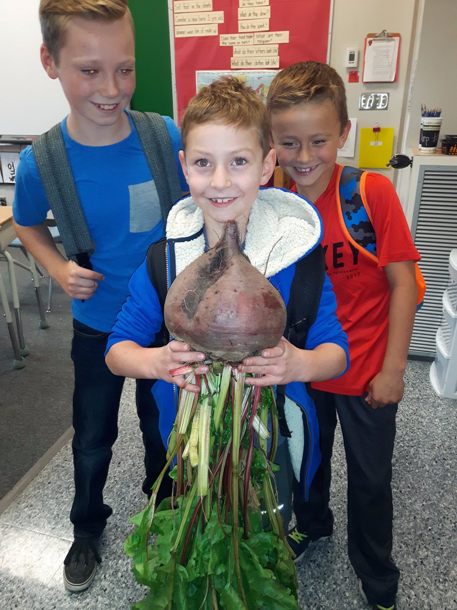 Getting vegetables ready for Stone Soup on Friday!