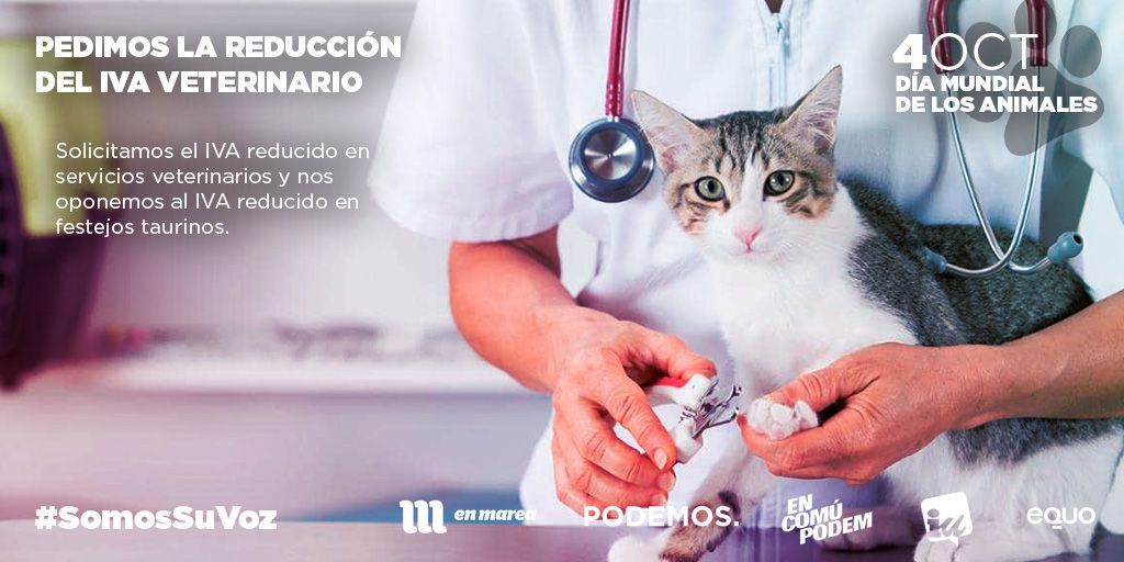 IzquierdaUnida's tweet photo. Reducción del IVA en servicios veterinarios y fin de IVA reducido en festejos taurinos. #SomosSuVoz
#DíaMundialdelosAnimales https://t.co/3how1S8O9t