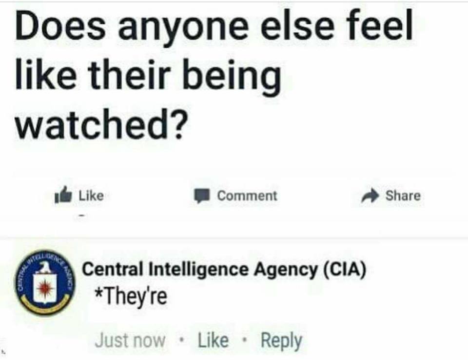 lingholic.com tweet media