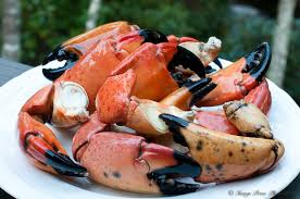 wardsseafood's tweet photo. 11 Days and counting until the opening of the 2017 Stone Crab Season! https://t.co/slK2GMH7I7