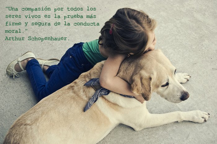 Adyss_'s tweet photo. #DiaMundialdelosAnimales 🐶🐇
Feliz día mundial de los animales! https://t.co/BeZ3rmlJVO