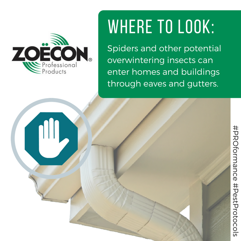 ZoeconCentralLS's tweet photo. #PestControl Tip: As temperatures begin to cool, proactively treat possible entry points for overwintering pests. #PROformance #PestProtocol https://t.co/5UWPoMaYhb