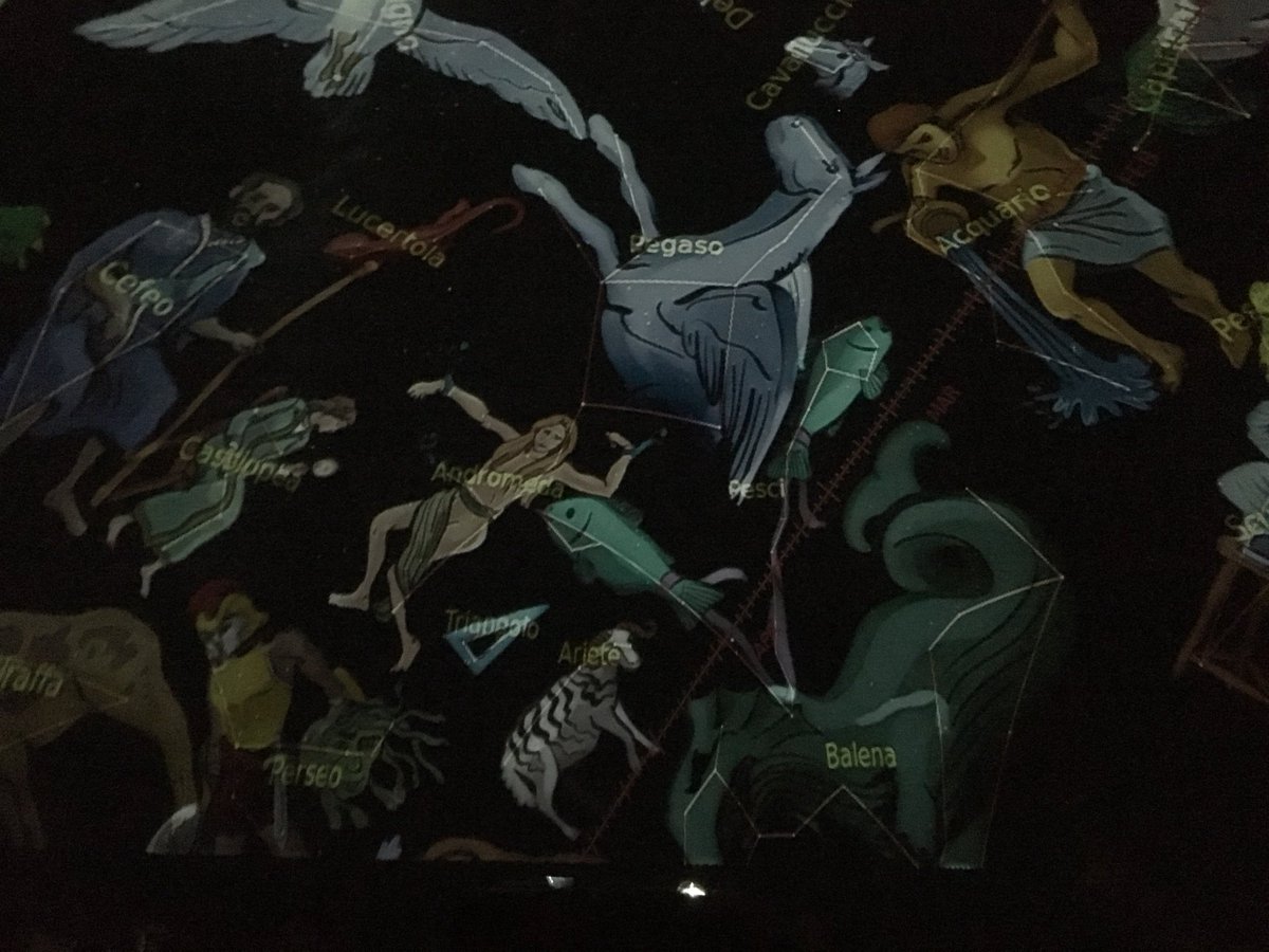 DiscoverTrieste's tweet image. Durante la #Barcolana49 al Salone degli Incanti puoi viaggiare nel cosmo 🌍 e scoprire le stelle 🌟 #Navigazioni #Trieste cc @ESOF2020Triest