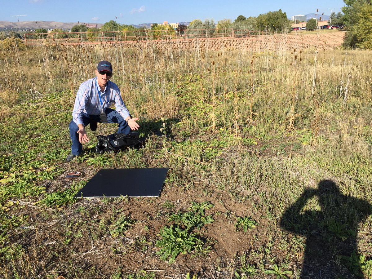 Kelsey Mason tweet media