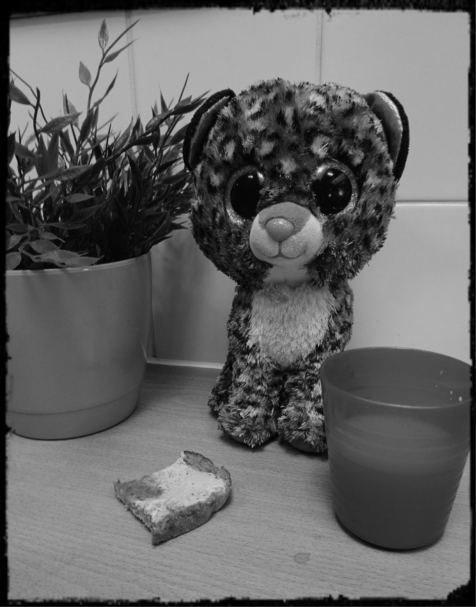 LadyBirdsHan's tweet photo. "cat" is well looked after when he visits! The children spent time building him a house and he joined us for snack! 😀 @HanwellFields https://t.co/2Y2xMcm6sf