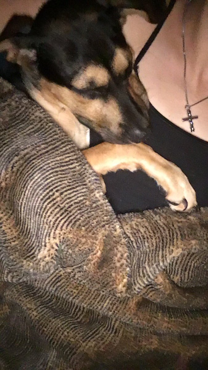 TeaLeighann's tweet photo. I love my baby. He’s such a cuddle bug😍 https://t.co/HUJoH0Y3k9