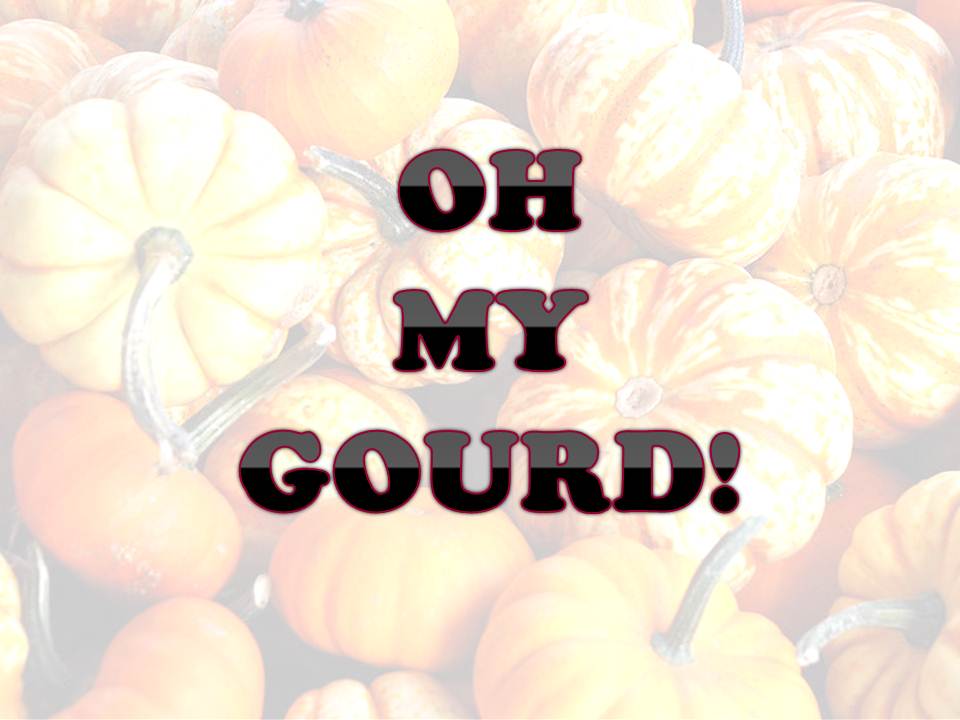 Come see us and fill a bag for $5 #albrightfarms #fall #pumpkins #gourds #festive