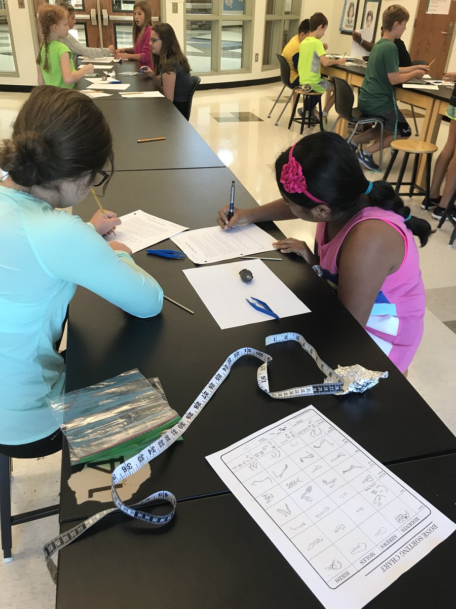 BrownRCES's tweet image. Mrs. Denney’s class is using many science skills while dissecting owl pellets. #oneRCE