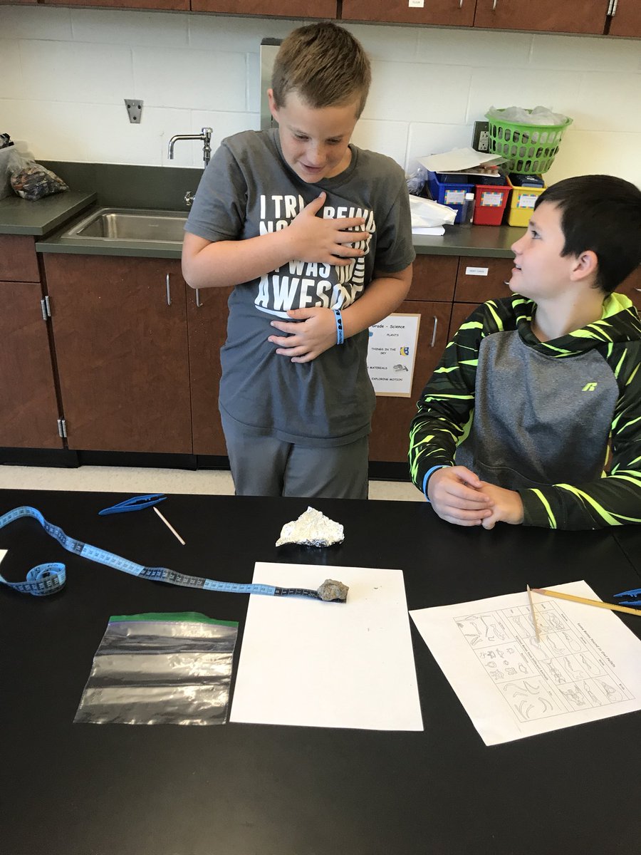 BrownRCES's tweet image. Mrs. Denney’s class is using many science skills while dissecting owl pellets. #oneRCE