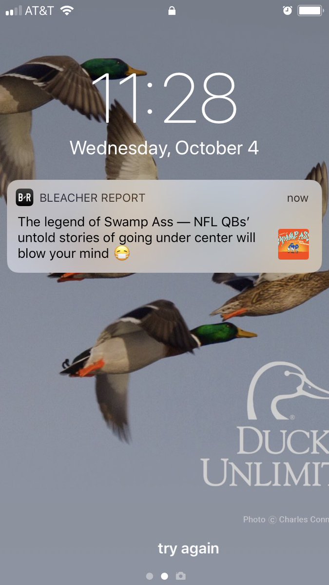 JCalebWilliams's tweet image. Well at least it’s not about politics.