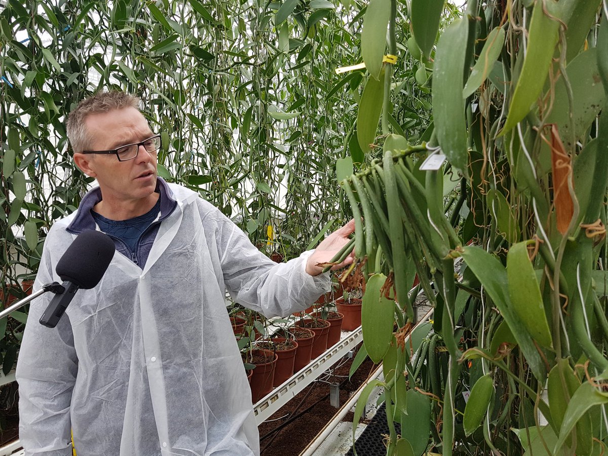 helenarotterdam's tweet photo. Terug van perstour @RdamFoodCluster langs bedrijven als @schmidt_zeevis, @WUR in #Bleiswijk en #EuroCaps ikv #WorldFoodDay R'dam 15okt as https://t.co/yg8zWTGuGy