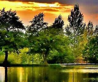 #nature.