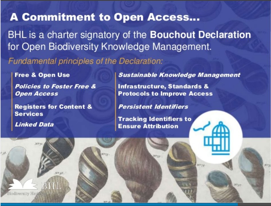 A commitment by <a href="/BioDivLibrary/">BHL</a>  to #openaccess and signatory of the <a href="/bouchoutdec/">bouchout declaration</a> #tdwg17 slideshare.net/Kalfatovic/how…
